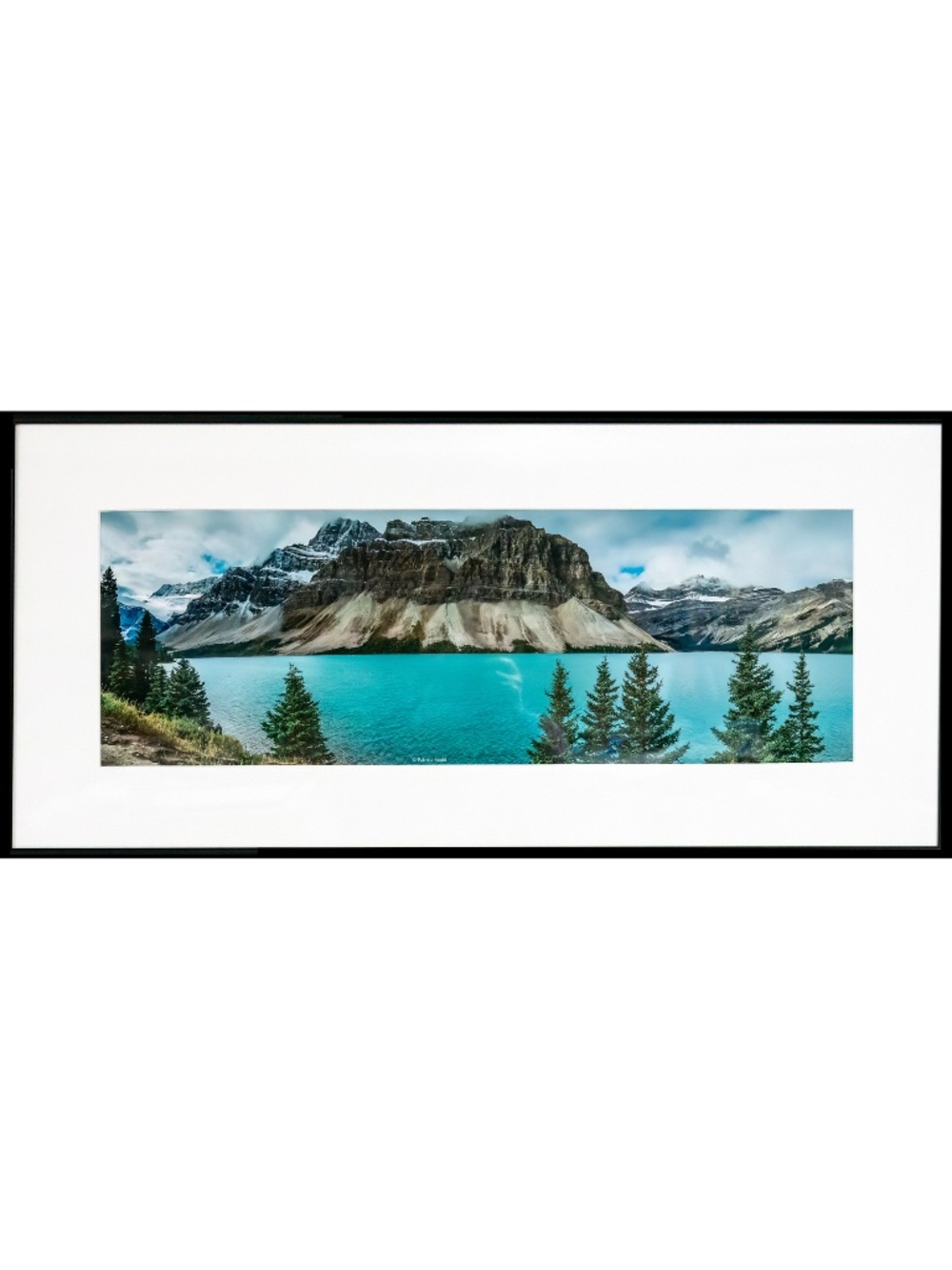 Banff Beauty - color photograph matted in 14 x 30 black metal frame